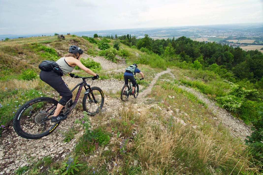 The trail descent from the Friesener Warte in the south-east of the city.