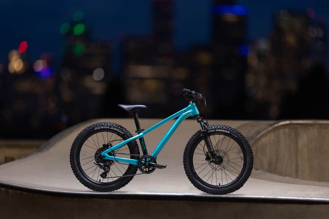 The Giant STP 20 FS with its suspension fork and massive tyres is designed to provide safety and riding fun on the first root trails.