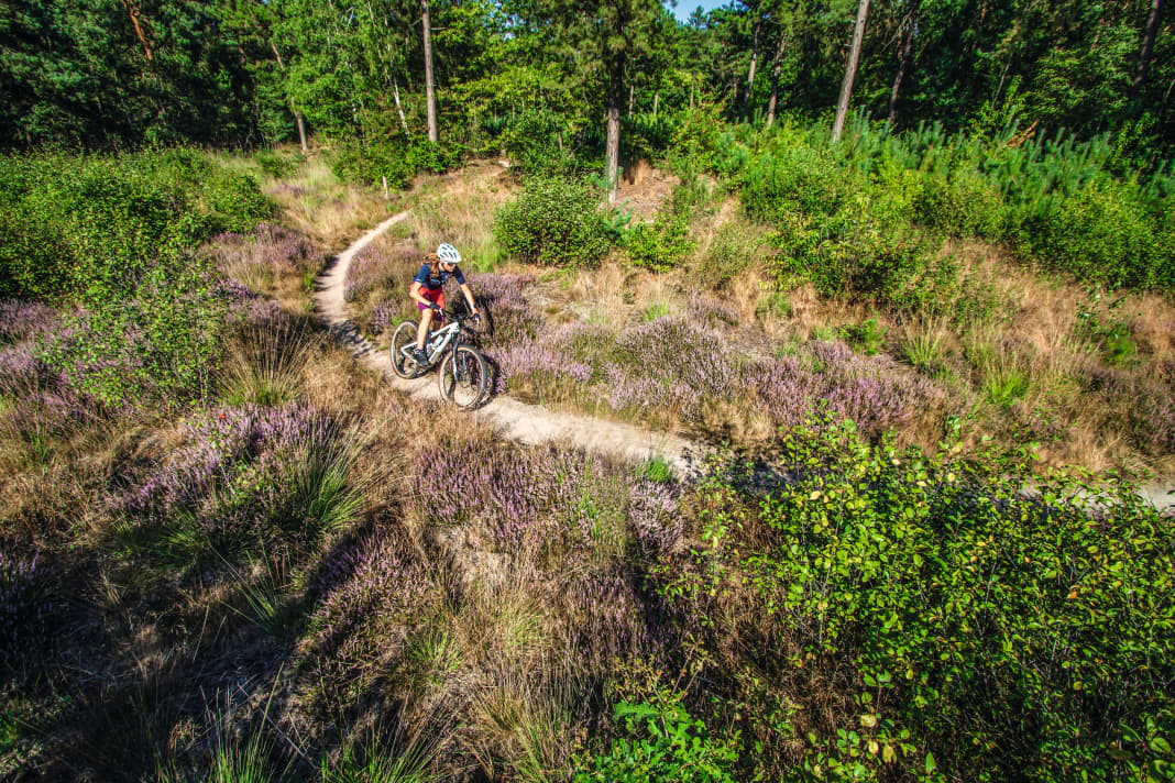 Kurvig, sandig und satte 17 Kilometer lang: die Trail-Runde vom kleinen Örtchen America.