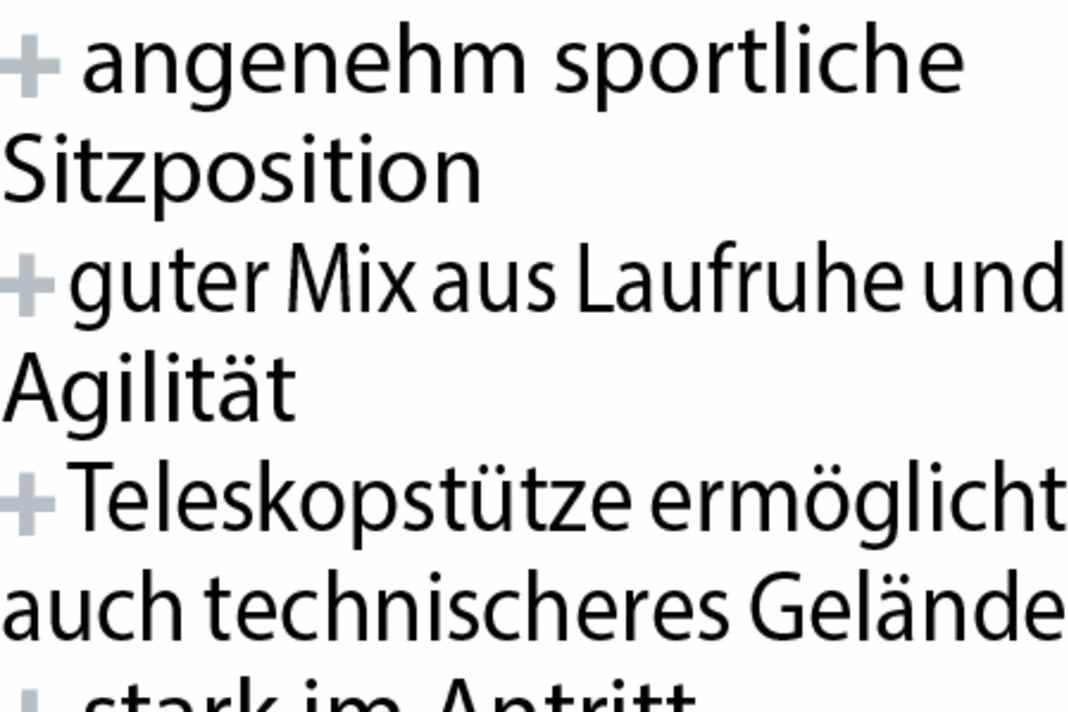 Unser Testbike glänzt besonders mit seiner sportlichen DNA und dem stimmigen Handling. Dank der Variostütze und etwas mehr Federweg ist auch technischeres Gelände möglich.