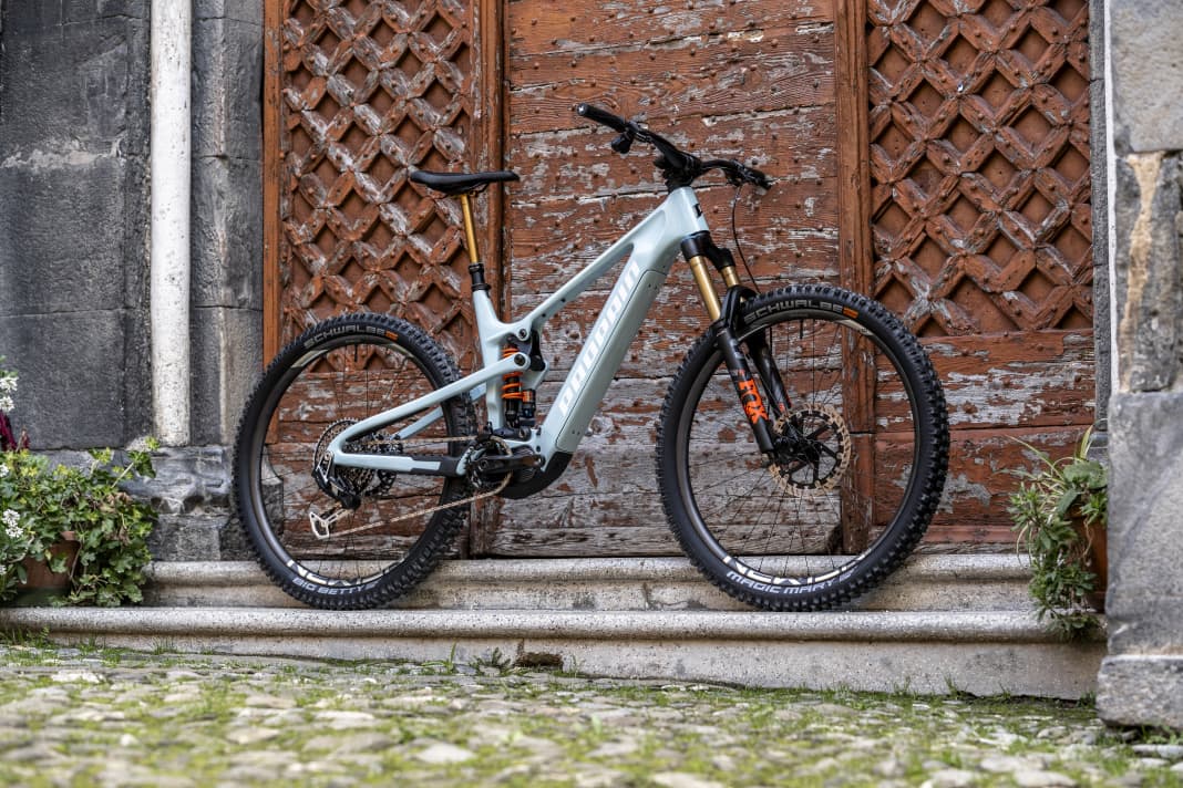 Propain Sresh CF // Shimano EP801 // 626 Wh // 160/150 mm // 29 inch or 29/27.5 inch // from 5999 euros