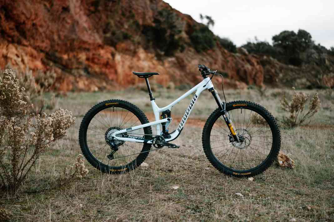 Tausendsassa: Das Trailduro Propain Tyee Trail will die Vorteile eines Enduros mit denen eines Trailbikes vereinen.