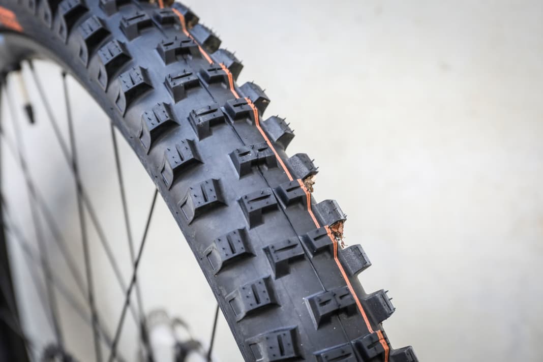 Schwalbe Big Betty: The classic profile for the rear wheel.