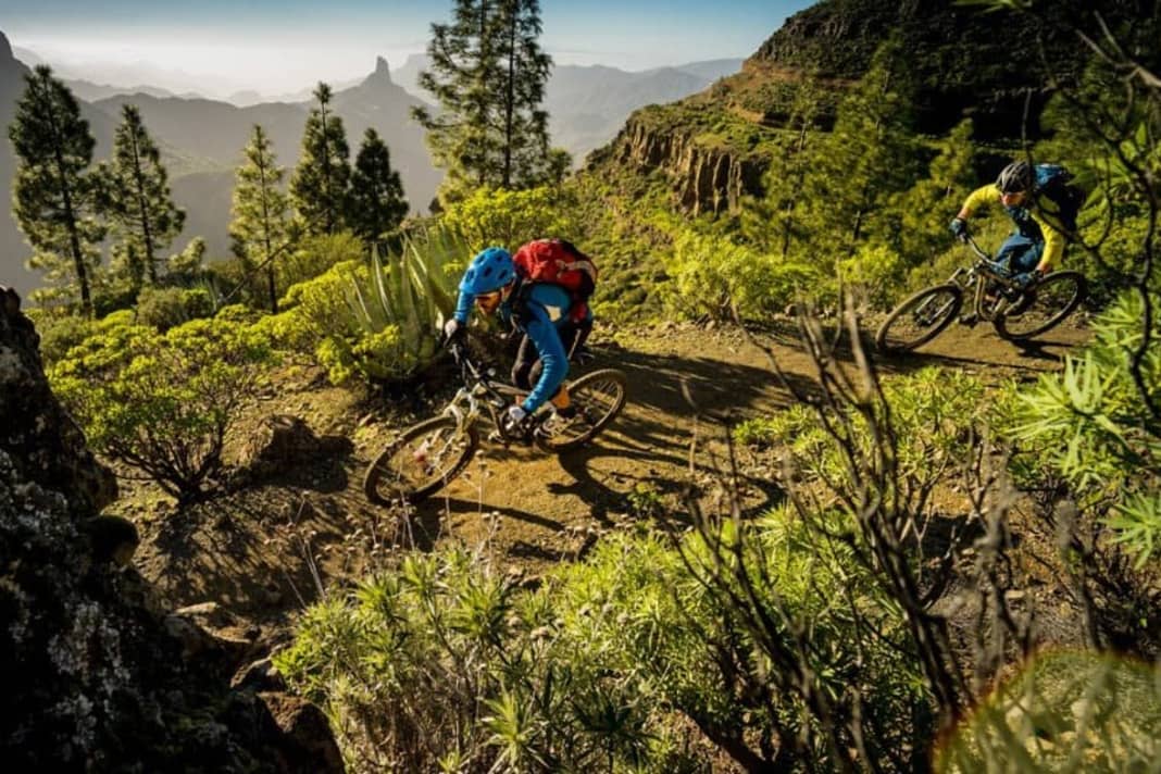 Across Gran Canaria's interior design: the bizarre mountain world of the Canary Island often resembles a Jurassic Park scene.