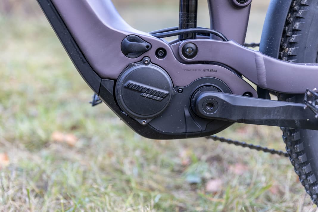 The Sport II motor from Giant only has 75 instead of 85 Newton metres. However, the lower torque on paper is hardly noticeable in practice. The unit pushes powerfully and remains pleasantly quiet. The Ride Control Dash 2-in-1 display could be a little crisper to operate and is also difficult to read in the sun.