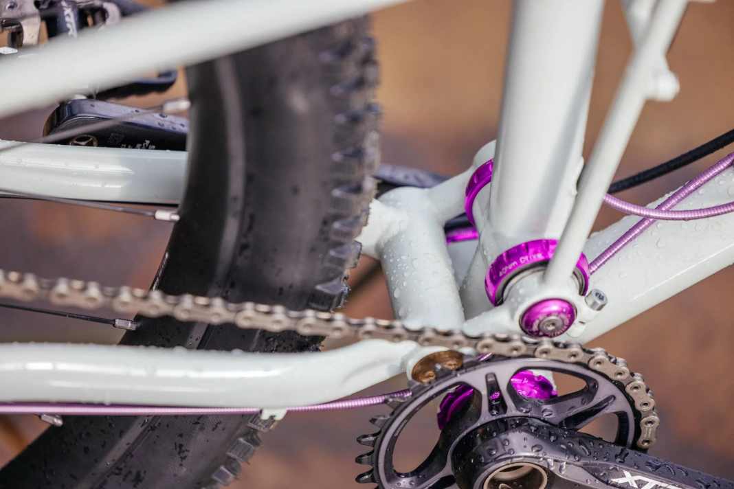 Chris King bottom bracket at the rear pivot: the Sycip Double Dribble makes it possible.