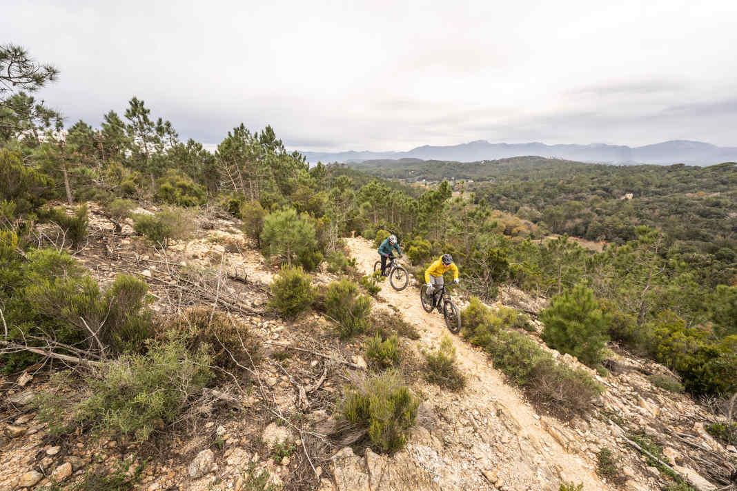 As the only bike with a complete aluminium frame, it weighs in at 15.8 (!) kilos without pedals. Compared to the competition, this means an average of 1.74 kilos overweight. The excess pounds leave you starving on crisp climbs and turn every manoeuvre, however tentative, into a feat of strength.