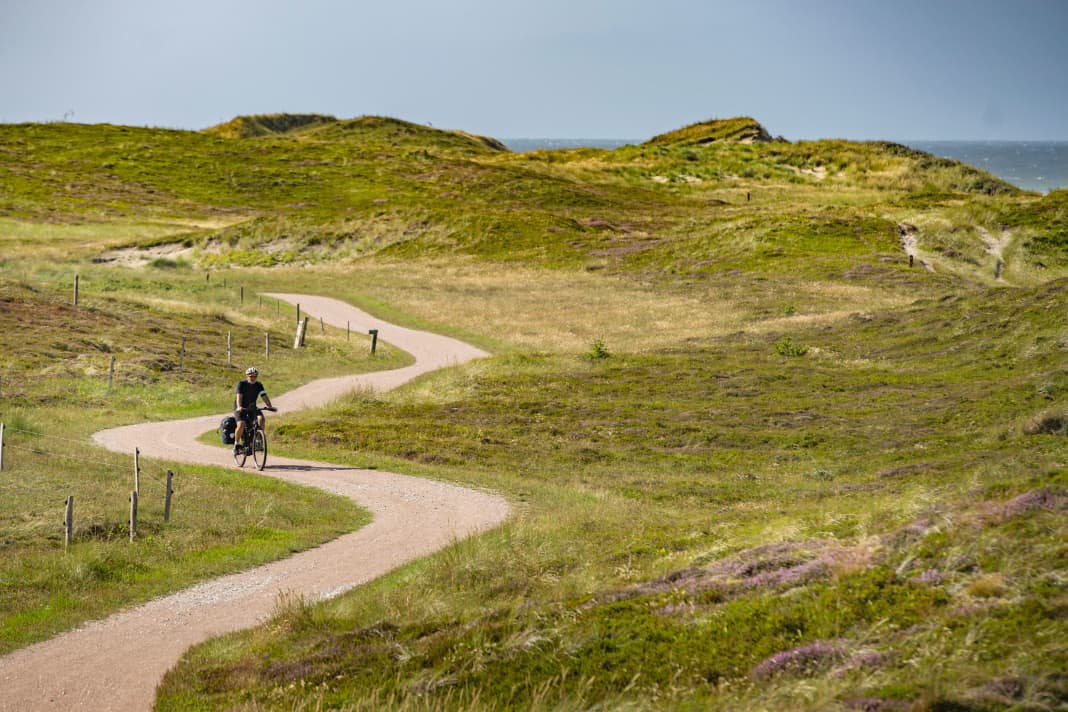 Dünenlandschaft im Thy-Nationalpark