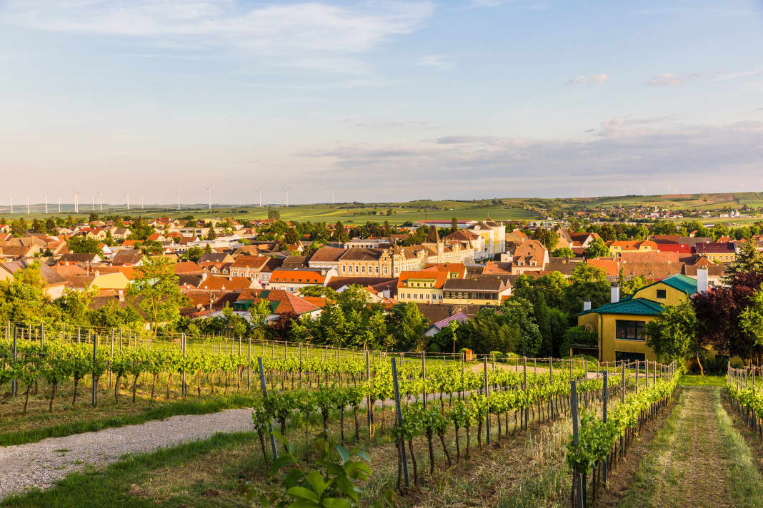 Blick auf Poysdorf über den Weinberg