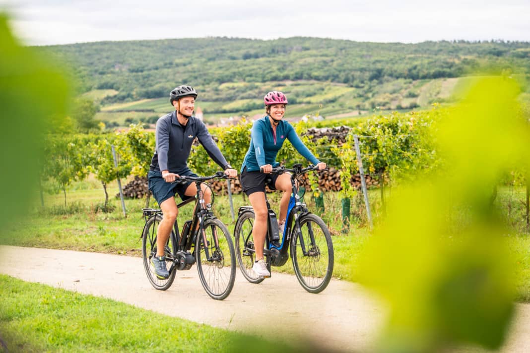 The vineyards of Lower Austria are easy to explore on e-bikes.