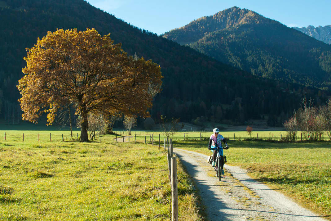 Foto: Matthias Rotter