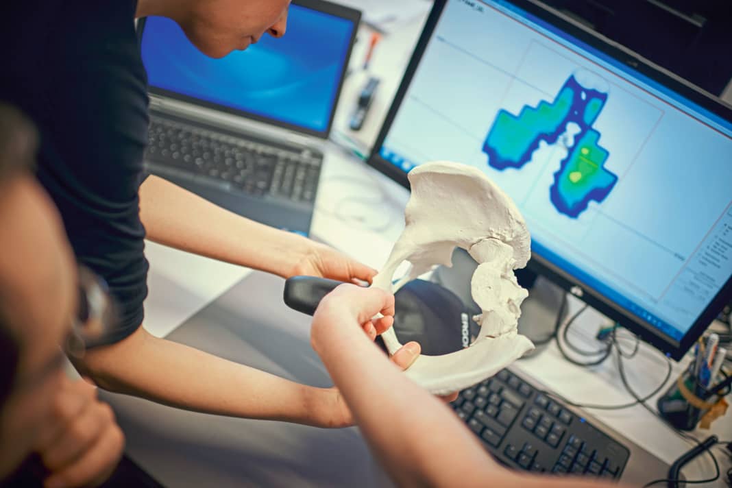 Spärlich Platz nehmen: Die Beckenknochen auf den Sätteln zeigen deutlich, wie klein die eigentlichen Kontaktstellen zwischen Sitz und Fahrer sind. Der zwischen den Beckenschaufeln „eingesetzte“ Bereich ganz rechts ist das untere Ende der Wirbelsäule. Lehnt man sich stark nach vorne, kippt man damit automatisch auch das Becken weiter auf den empfindlichen Schambereich.