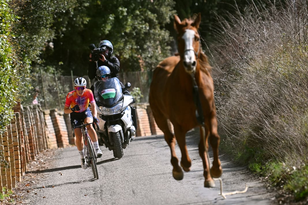 Der Moment bei den Strade Bianche der Frauen (4. März 2023): Ein ausgerissenes Pferd galoppiert vor der späteren Siegerin Demi Vollering.
