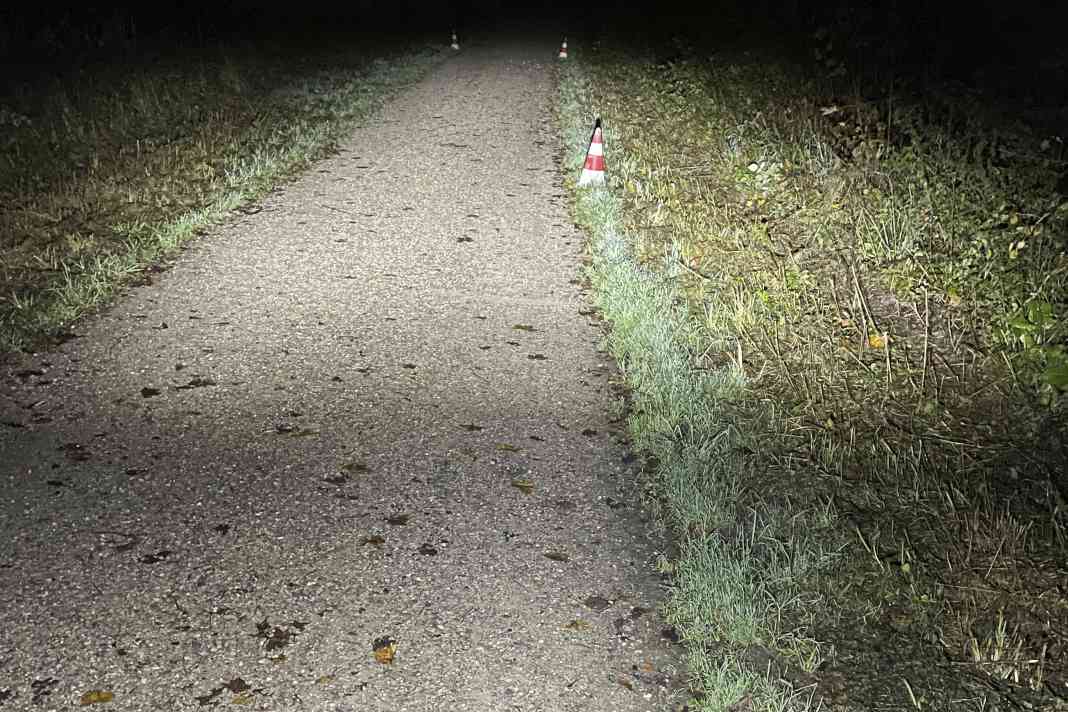 Decathlon ST 930: Very homogeneous light profile from front to rear, wide illumination