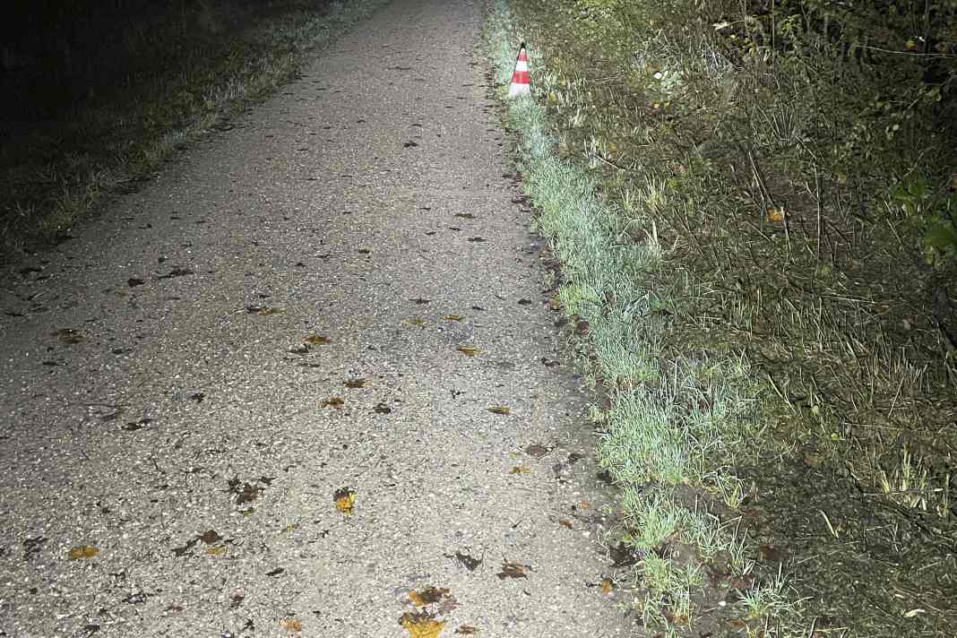 Lupine SL Minimax AF/C14 Mag:  Bei Fernlicht perfekte Ausleuchtung weit über die Pylonen hinaus