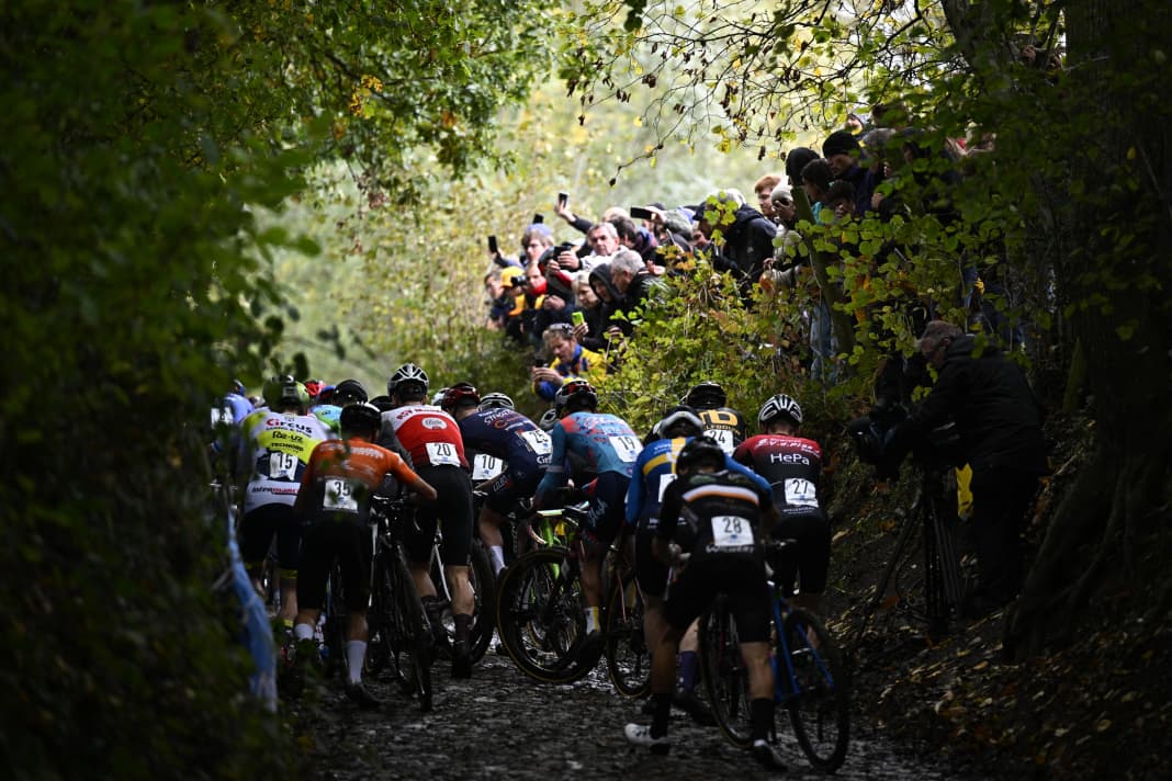Das Fahrerfeld in Aktion während des Männer-Rennens beim Koppenbergcross, dem ersten Rennen (von insgesamt acht) der X2O Badkamers Trophy Cyclocross, in Melden, Oudenaarde, am Mittwoch, den 01. November 2023.