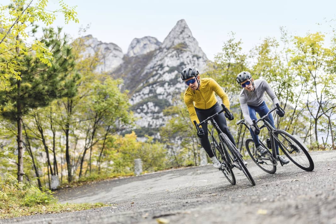 Luxury marathon road bikes in comparison: Pinarello Dogma X vs. Specialized S-Works Roubaix SL8