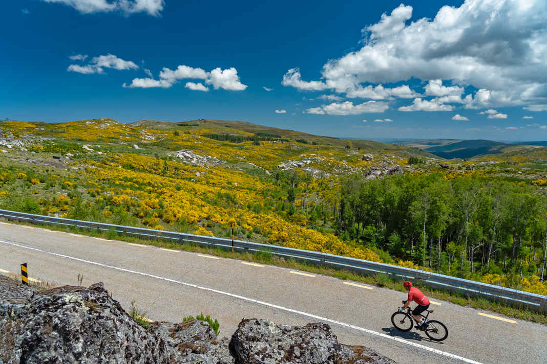 In the centre: Gorse, granite and solitude: on the N232 through the plateau above Manteigas.