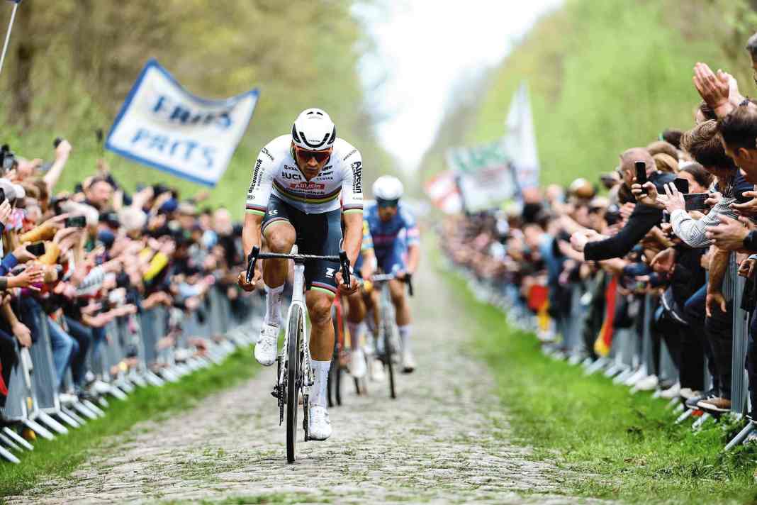The Arenberg forest is considered one of the key stages of Paris-Roubaix. Mathieu van der Poel leads the 2024 race here