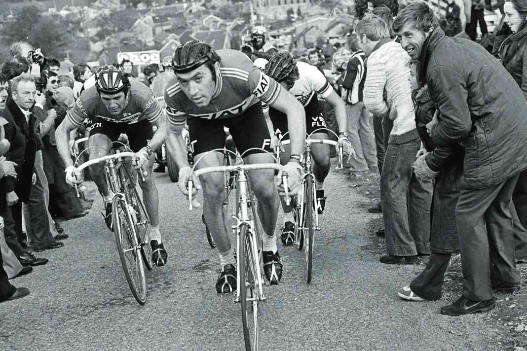 Eddy Merckx - un hommage pour son 80e anniversaire