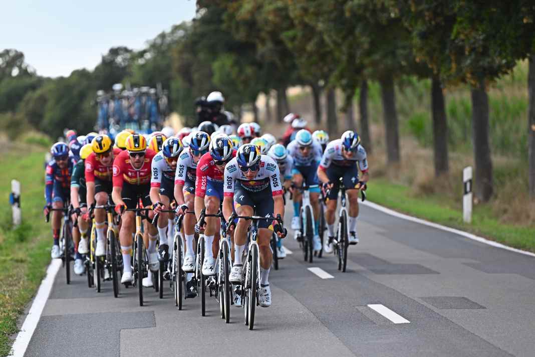 Noble helper. Florian Lipowitz provided important support during the Tour of Germany.