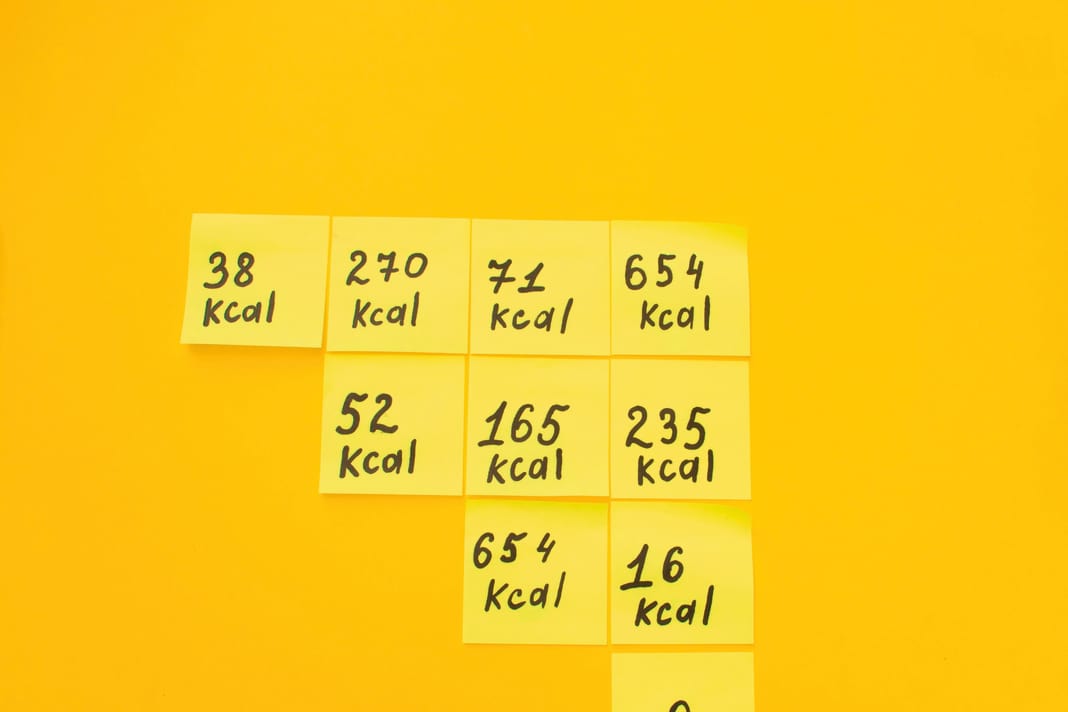 Nutrition in cycling: what are the advantages and disadvantages of calorie tracking?