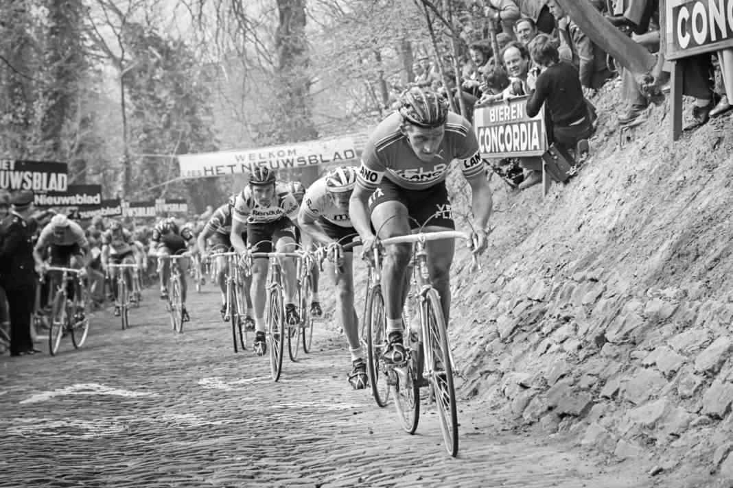 Freddy Maertens was one of the team’s most successful riders; he won 15 Tour de France stages, claimed the Green Jersey as the best sprinter on three occasions, and was crowned world champion twice.  However, he was unable to win the Tour of Flanders, which he is leading here in 1978 at the Wall of Geraardsbergen.