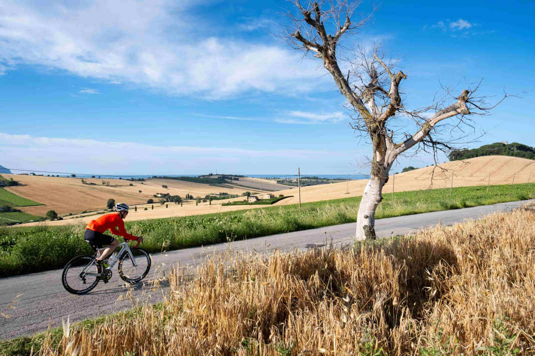 Nahe der Küste führen kleine, verkehrsarme Straßen durch weites, von Getreidefeldern geprägtes Hügelland, das immer wieder Ausblicke auf die Adria erlaubt