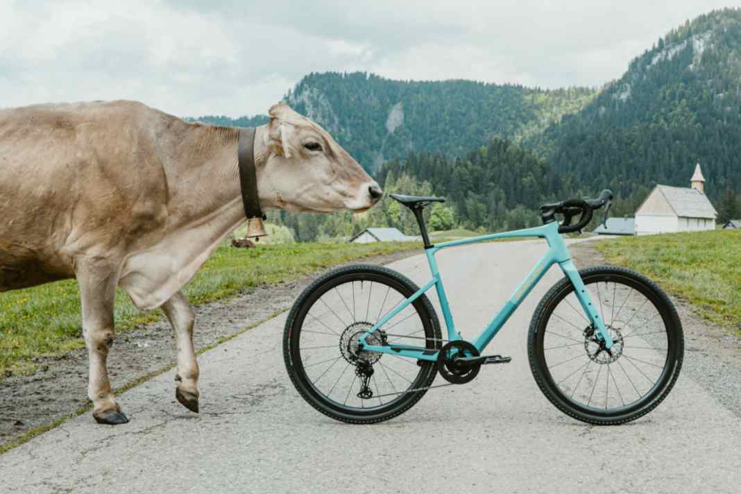 Simplon GRID :eLight