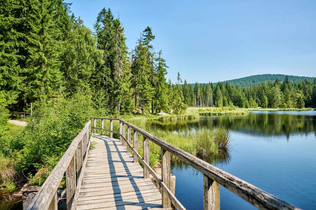 D'un sommet à l'autre, le chemin est ponctué de lacs, de marais et de ponts.