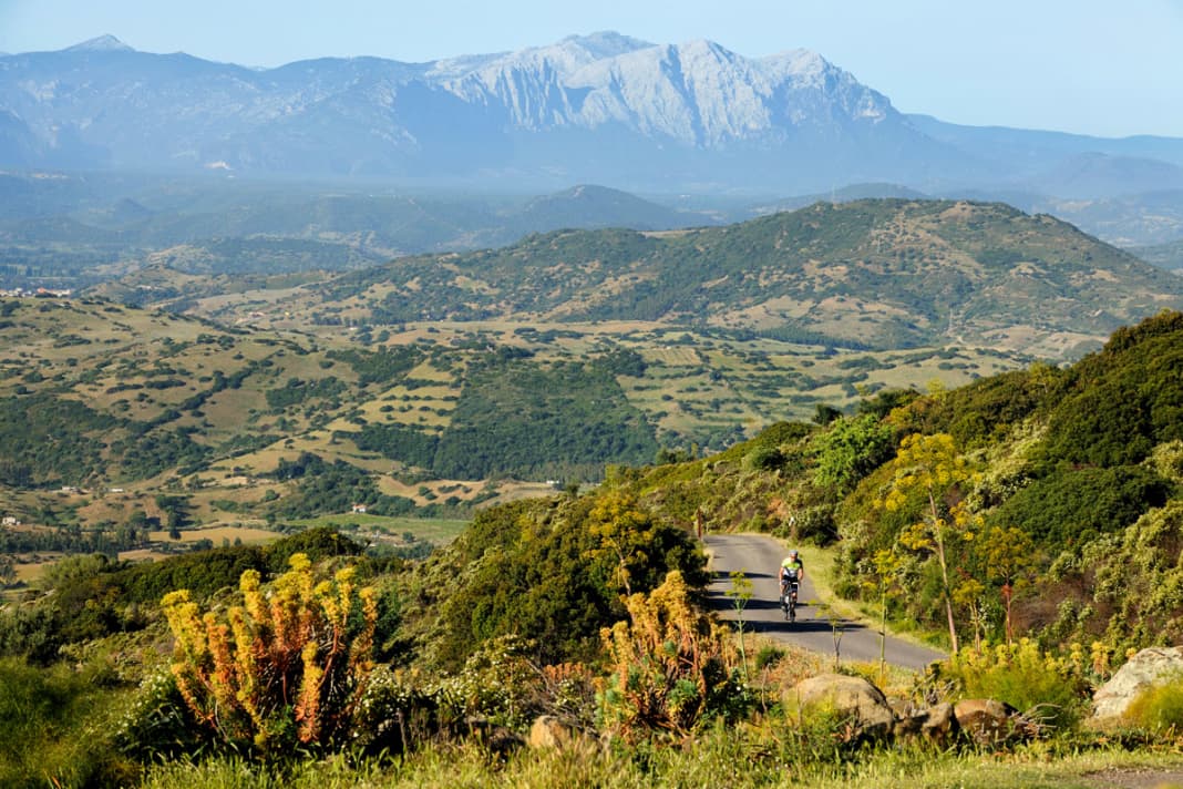 Les montagnes calcaires du Supramonte dominent les collines situées derrière la côte est.