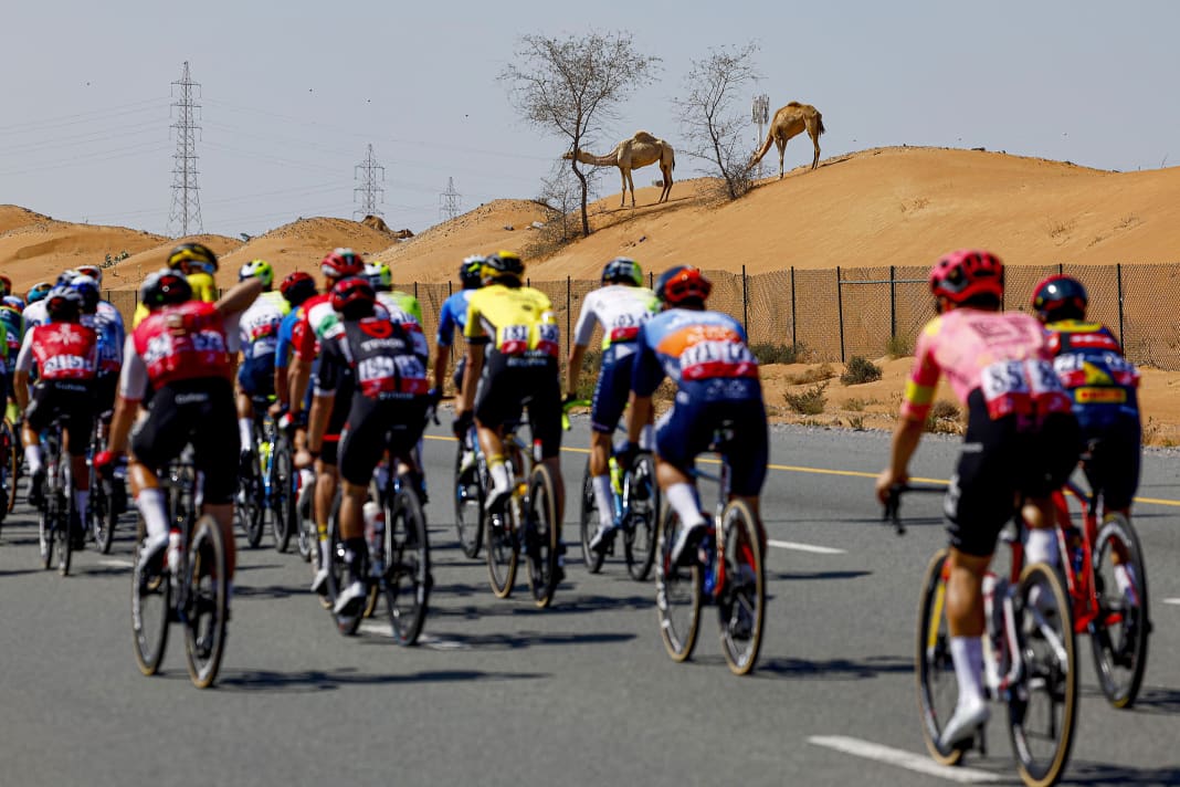 Die 3. Etappe der UAE Tour 2024