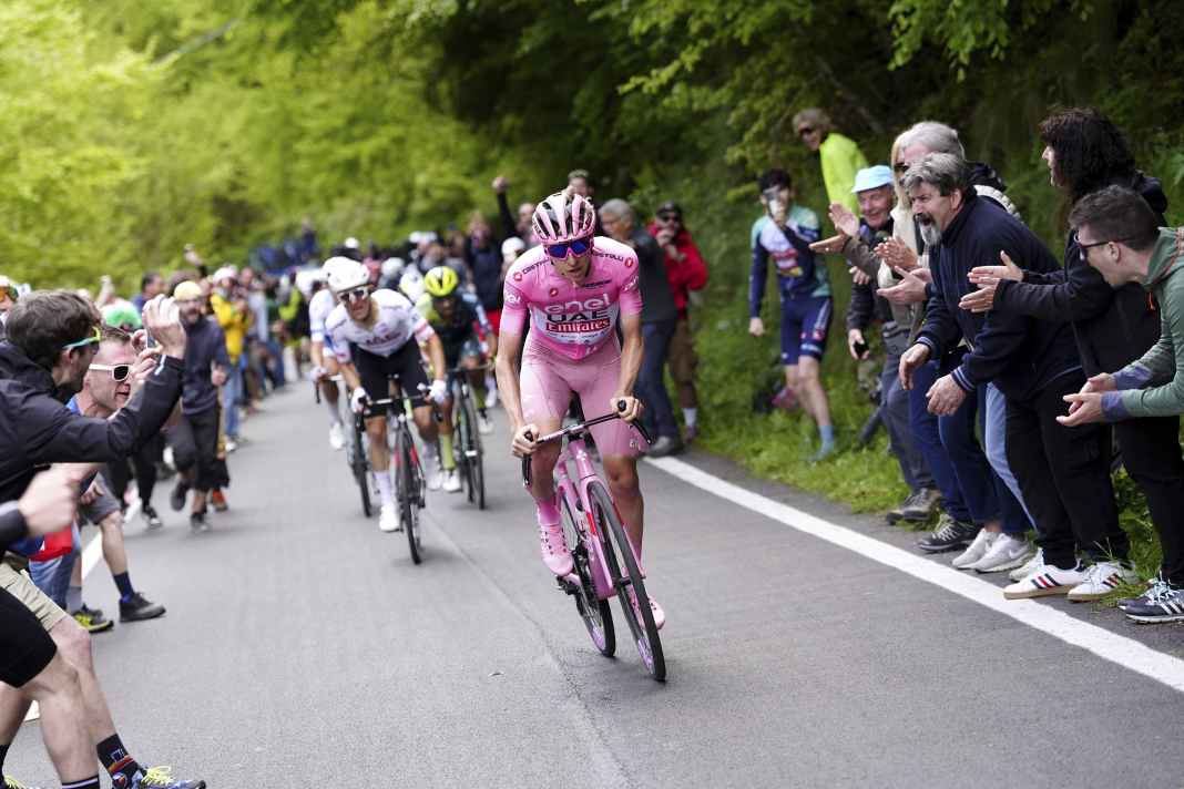 Dans la 20ème étape du Monte Grappa, le maillot rose est déjà sur les épaules de Tadej Pogacar.