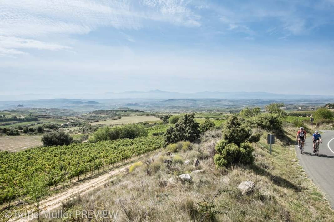 Wine ... Travelling through the wine terraces on the way to Peñacerrada.