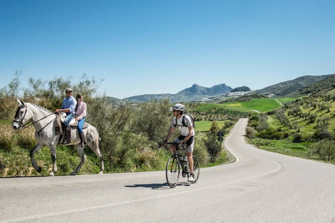 Time travel: Whether a shepherd with sheep crosses the road or riders on horseback greet cyclists - in the hinterland of the Costa de la Luz, time seems to have been turned back.