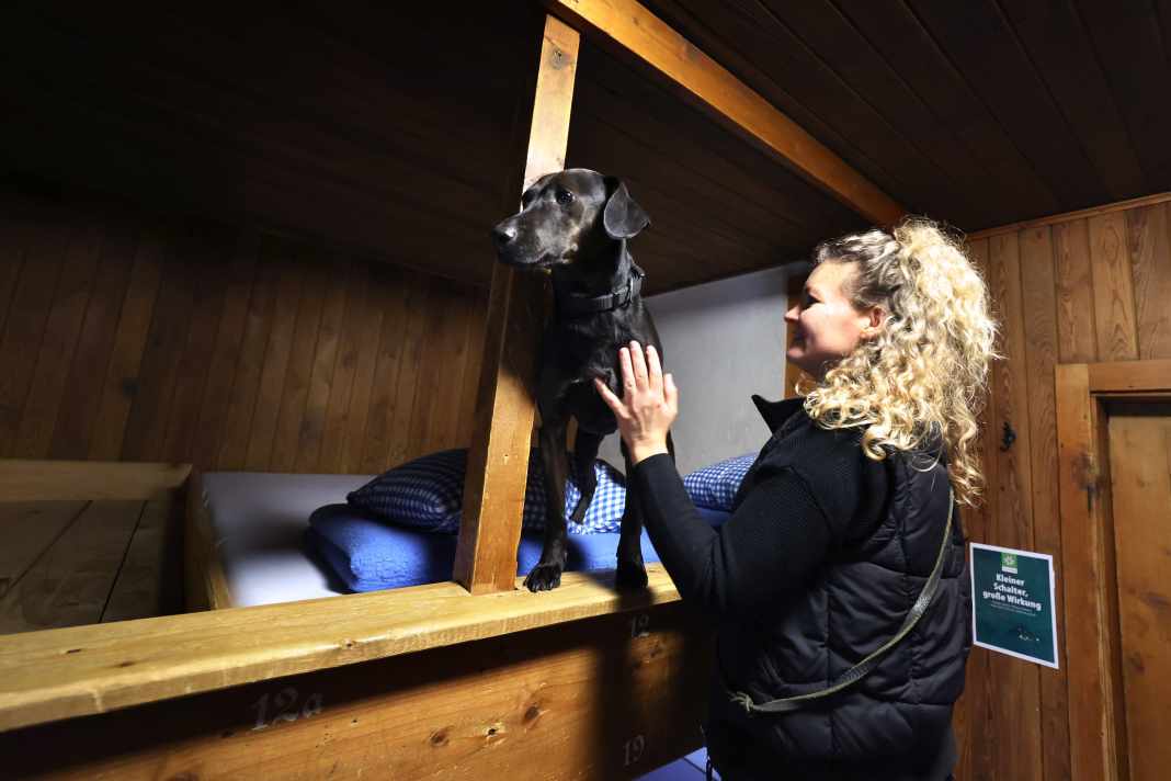 Bettwanzenspürhund Linus schnüffelt im Beisein seiner Hundeführerin Laura Pannasch im Schneibsteinhaus (Berchtesgaden) nach Bettwanzen.