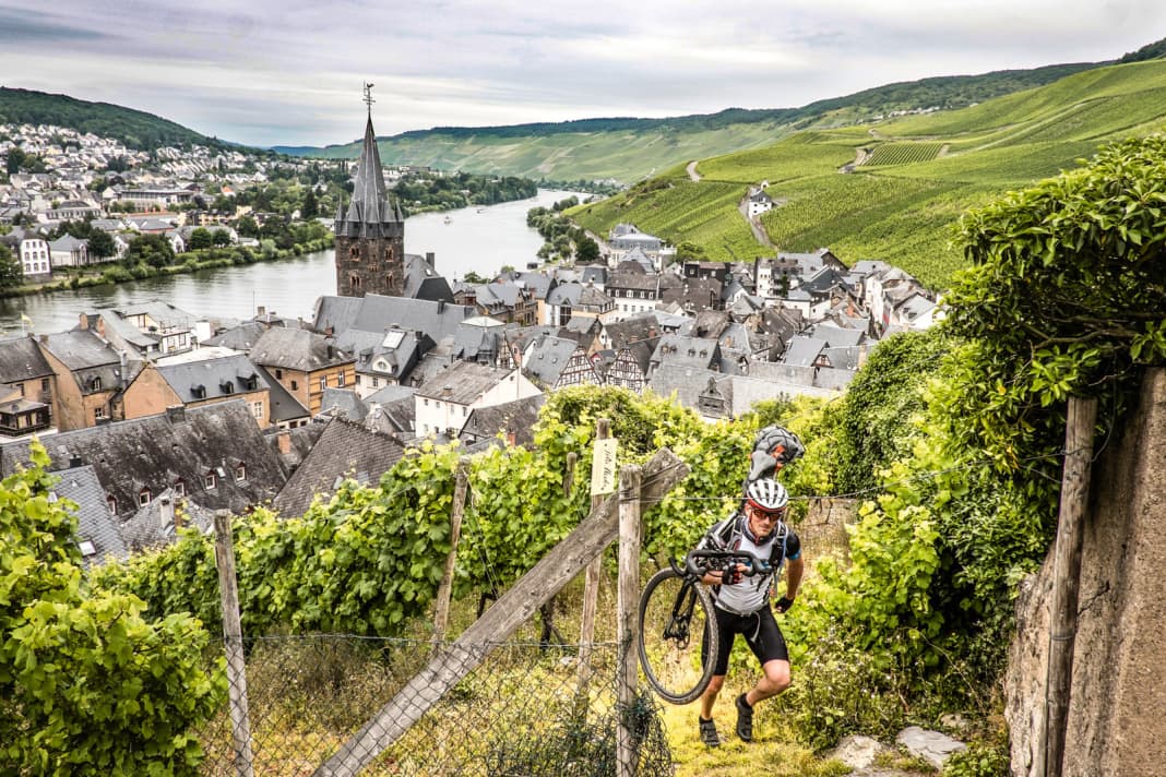 Haute teneur en alcool : Quotidien : passage de portage dans les vignobles escarpés de la Moselle (ici près de Bernkastel)