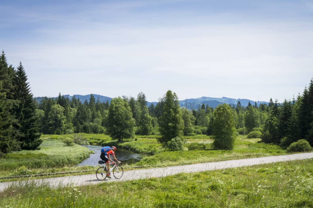 Unberührte Natur: Ein Fahrrad- und Anliegersträßchen führt am dritten Tag durch den Nationalpark Šumava (Böhmerwald).