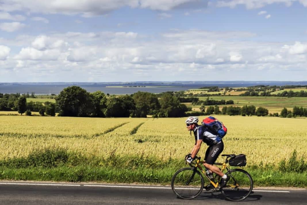 Danish island hopping: pastures and shimmering golden grain fields by the Baltic Sea