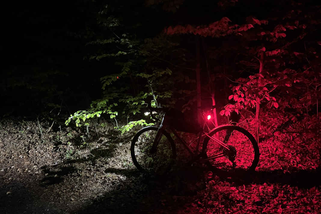 Kleine Lichtshow für Hase und Igel.