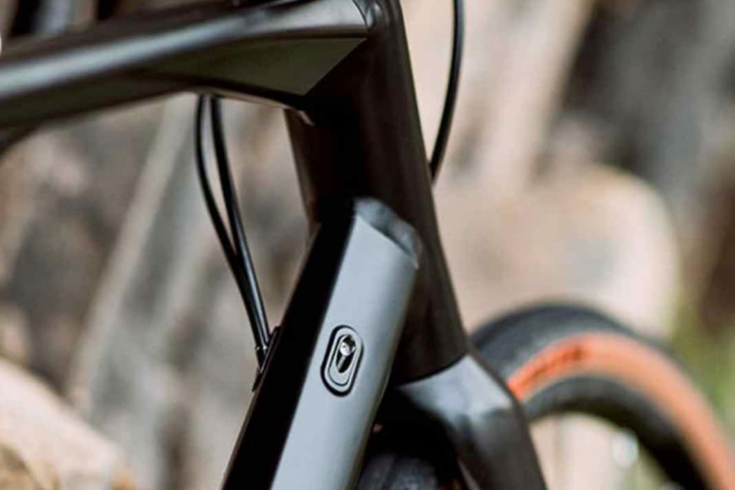 Tidy look: The BMC Roadmachine X has an internal cable guide and integrated chain guide.