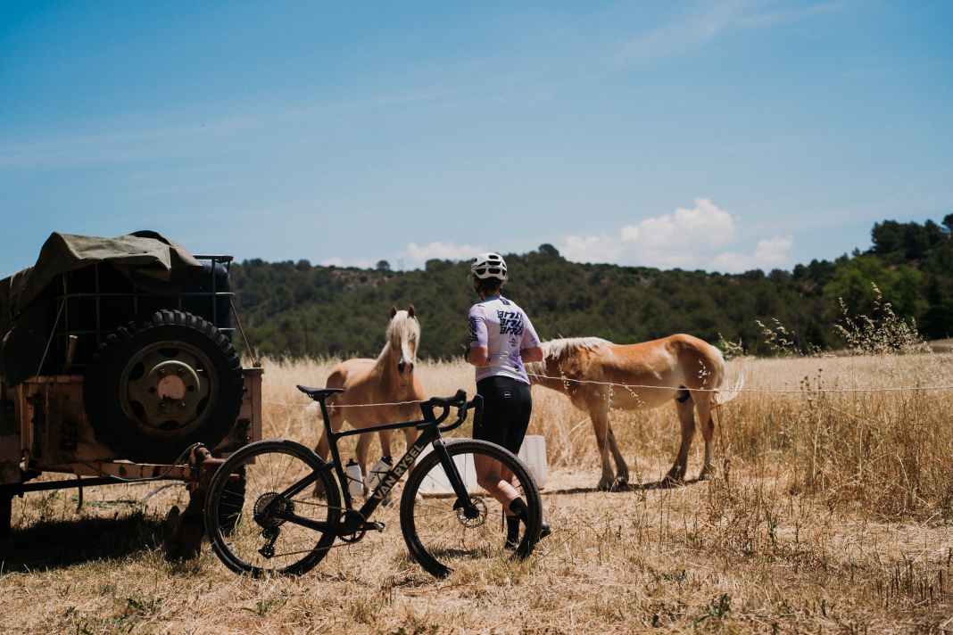 Van Rysel bietet mit dem RCR-G und EDR-G zwei unterschiedliche Gravelbike-Konzepte.