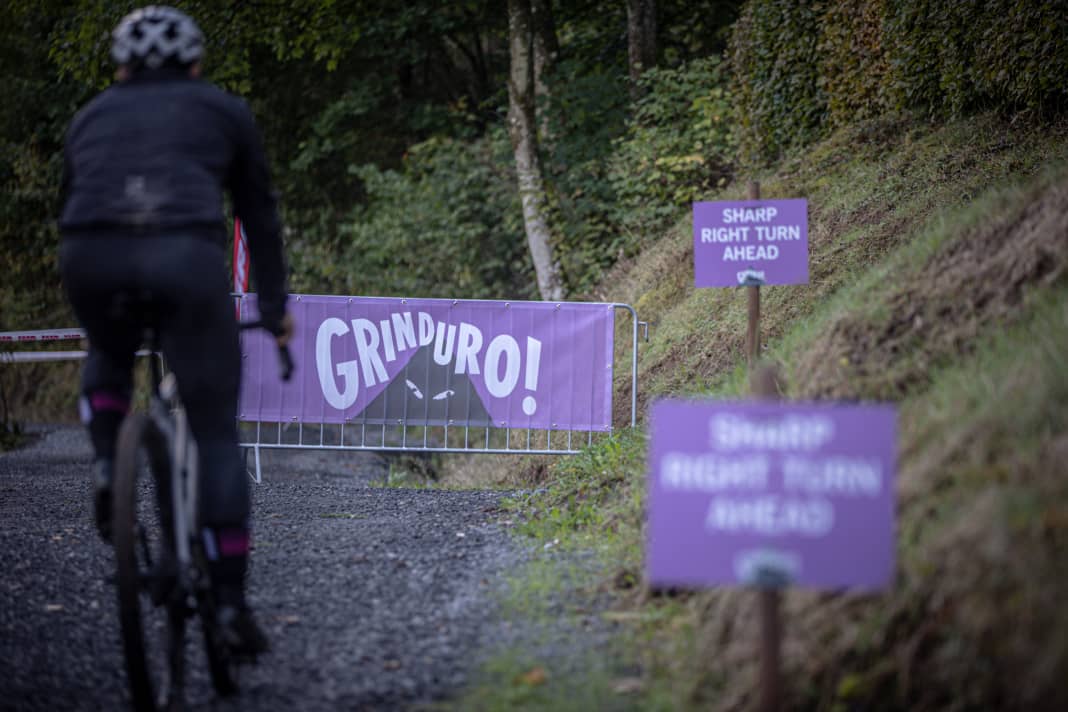 Purple logo, purple signs