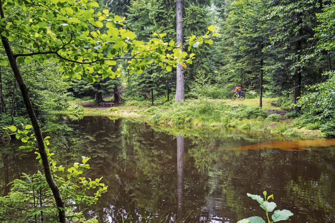 Voyage à vélo dans les Vosges du Nord : Une petite escapade idyllique à vélo.