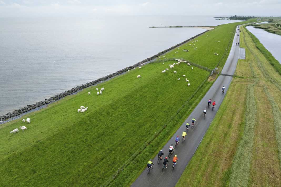 Sea, dyke, sheep, drizzle: On the road near Skarl, between Sloten and Stavoren