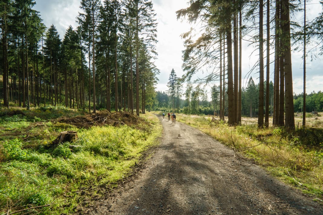 Grevet-Impression aus dem Harz