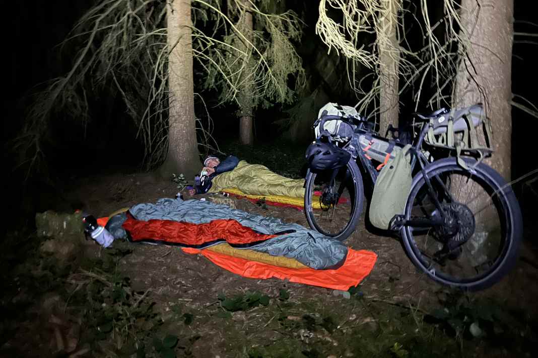 Le sol en dit long : les feuilles sèches bruissent, mais isolent bien. La mousse est molle, mais retient l'humidité. Le sol en aiguilles est souvent le meilleur compromis. Le couchage : un solide 7 sur 10.
