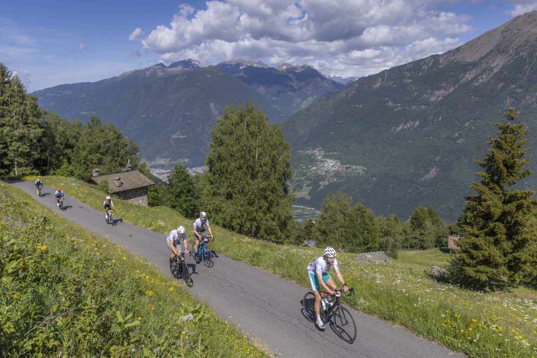 La Stelvio Santini 2026