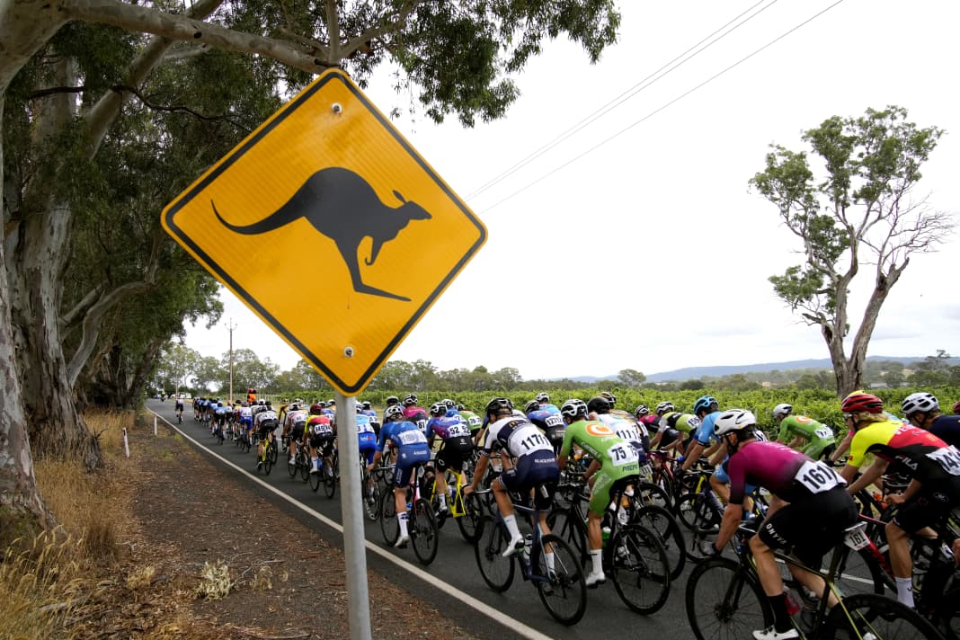 The most important races on the 2023 cycling calendar: 17 Jan - 22 Jan Tour Down Under
