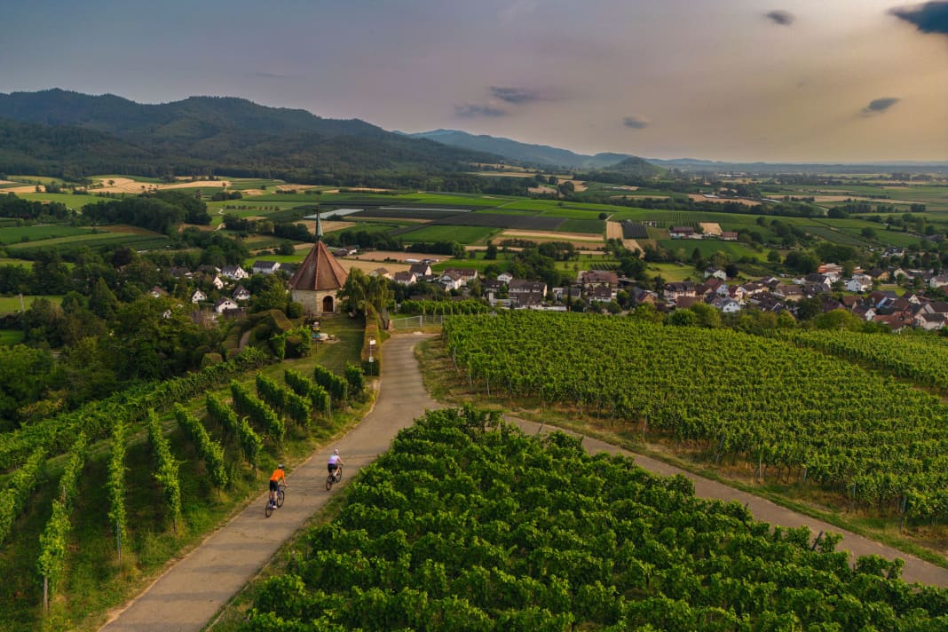 Kurze Anstiege führen durch die Weinberge des Markgräflerlandes. Wer länger klettern will, ­ wird östlich davon im Schwarz­wald fündig